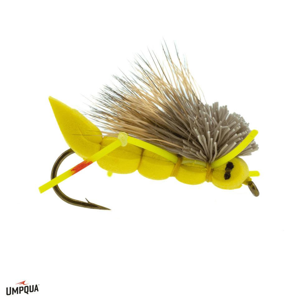 CHARLIE BOY HOPPER Umpqua YELLOW / 12 Flies Rivers and Glen Trading Co