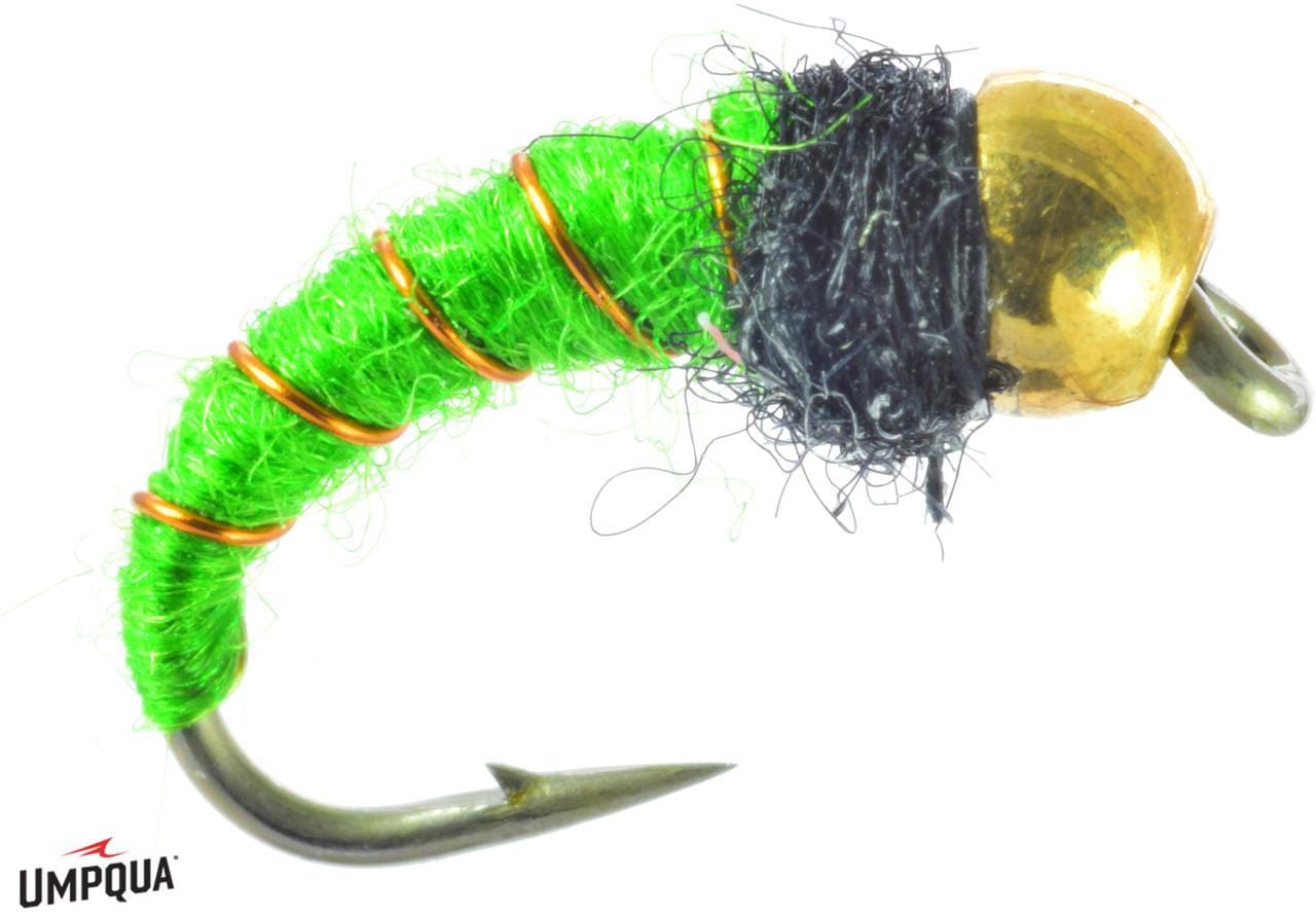 CADDIS LARVA BH Umpqua Flies Rivers and Glen Trading Co