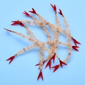 CRUSTACEOUS CLAW Enrico Puglisi TAN Fly Tying Rivers and Glen Trading Co