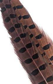 1 PAIR RINGNECK TAIL FEATHERS Wapsi RUSTY BROWN Fly Tying Rivers and Glen Trading Co