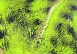 Black Barred Rabbit Strips Hareline Dubbin Chartreuse Fly Tying Rivers and Glen Trading Co