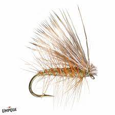 ELK CADDIS Umpqua 14 / Olive Flies Rivers and Glen Trading Co