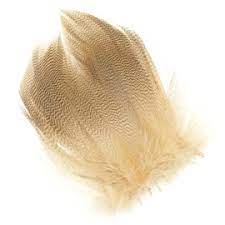MALLARD BARRED FLANK Wapsi Fly Tying Rivers and Glen Trading Co