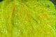 Flat Diamond Braid Hareline Dubbin Fly Tying Rivers and Glen Trading Co