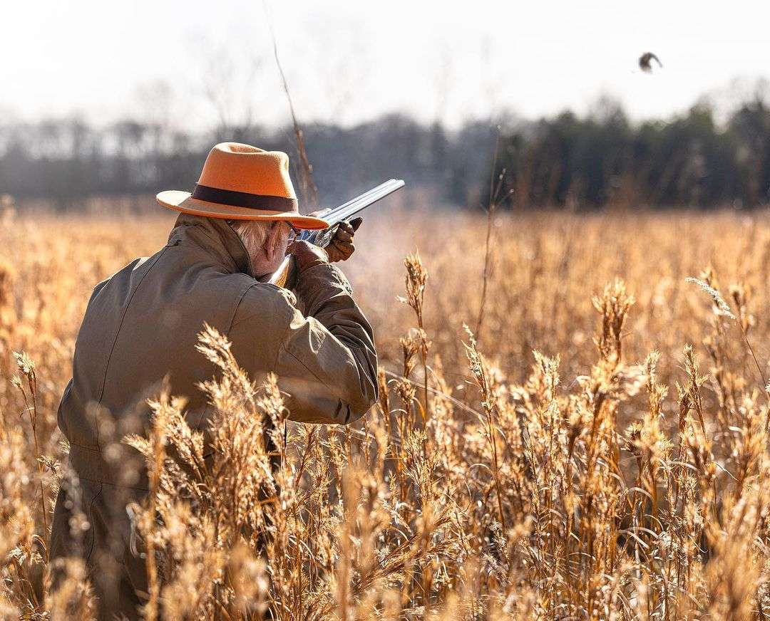 Dove Season Essentials in the Southeast: Gear, Strategies, and Tips for a Successful Hunt