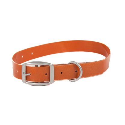 Salty Dog Collar - Rivers & Glen Trading Co.