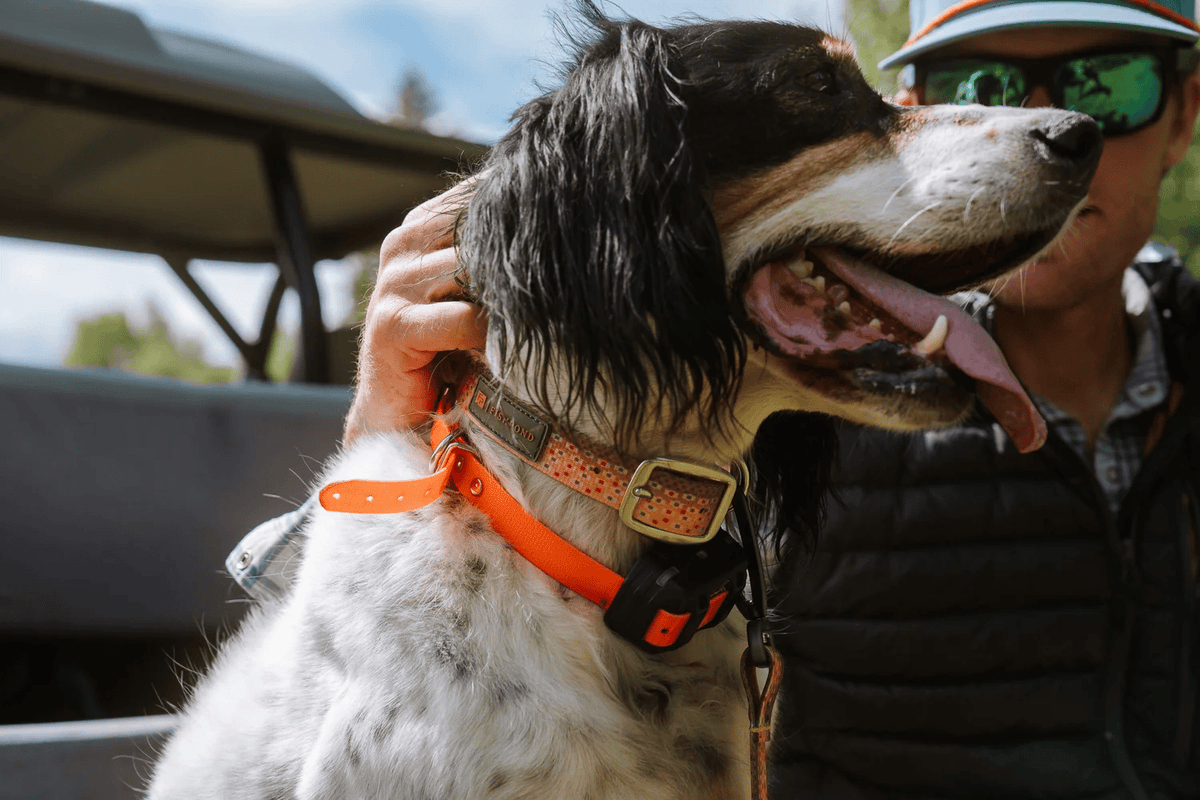 Fishpond Dog Collar Fishpond Accessories Rivers and Glen Trading Co