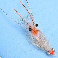 Coyote Spawn Shrimp - Rivers & Glen Trading Co.