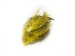 BARRED STRUNG NECK HACKLE - Rivers & Glen Trading Co.