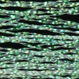 KRYSTAL FLASH Wapsi PEARL Fly Tying Rivers and Glen Trading Co