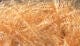 Medium Krystal Hackle Hareline Dubbin Bonefish Tan Fly Tying Rivers and Glen Trading Co