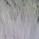 Saltwater Neck Hackle - Rivers & Glen Trading Co.